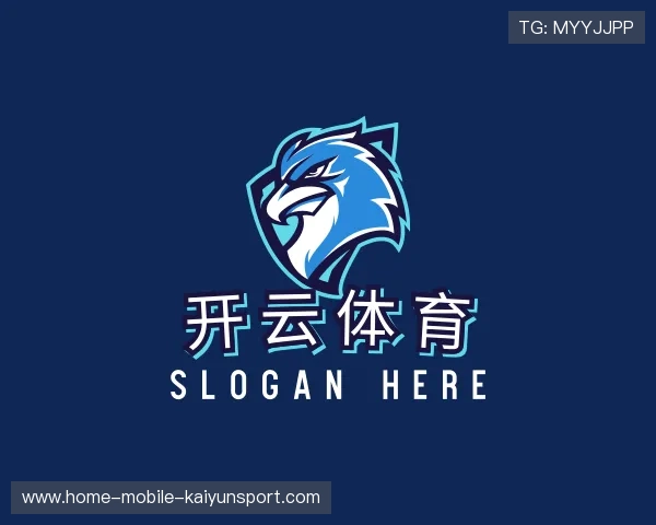 发现开云体育APP